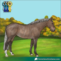Horse Color:Silver Brown Dun Rabicano 