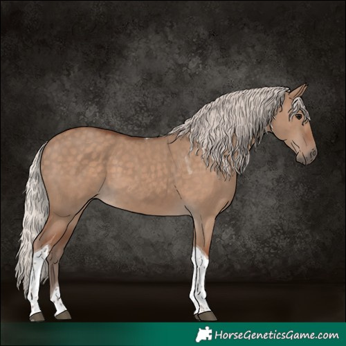 Horse Color:Silver Grullo Tobiano 