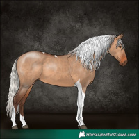 Horse Color:Silver Brown Dun Tobiano 