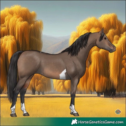 Horse Color:Brown Dun Tobiano