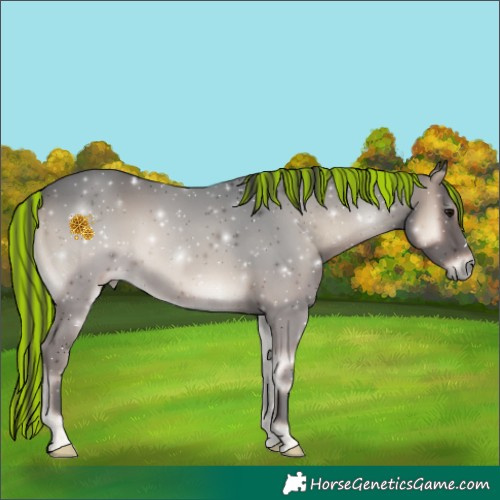 Horse Color:Painted Blue Onyx 