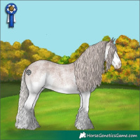 Horse Color:Silver Blue Roan Splash