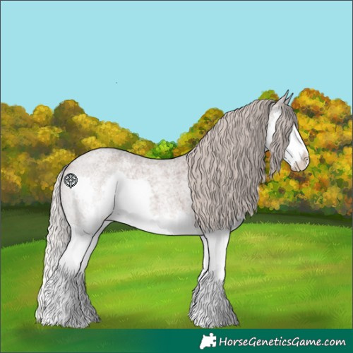Horse Color:Silver Blue Roan Splash 
