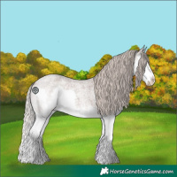 Horse Color:Silver Blue Roan Splash