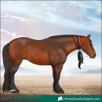 Horse Color:Bay 
