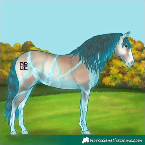 Horse Color:Thunderstruck Sable Champagne Onyx