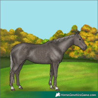 Horse Color:Silver Black 