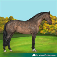 Horse Color:Brown Dun 