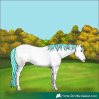 Horse Color:Painted Silver Sable Champagne Onyx Tobiano Appaloosa 