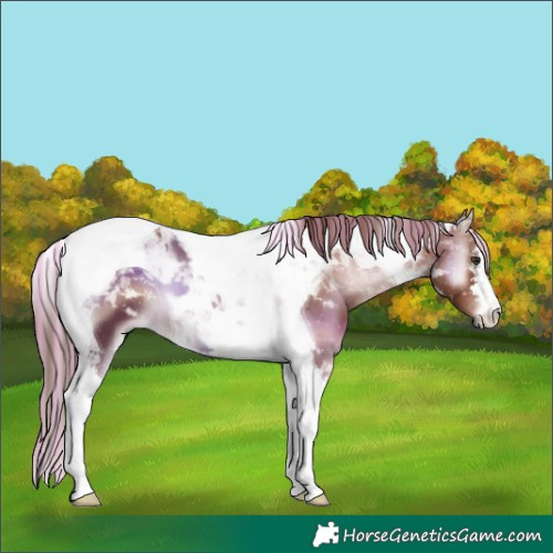 Horse Color:Painted Red Onyx Tobiano 