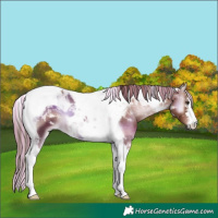 Horse Color:Painted Red Onyx Tobiano 