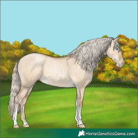 Horse Color:Chocolate Palomino Pearl Dun Tobiano Rabicano 