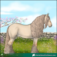 Horse Color:Red Dun Roan