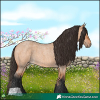 Horse Color:Bay Roan Dun