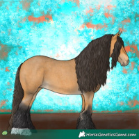 Horse Color:Buckskin Roan 