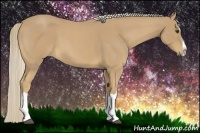 Horse Color:Palomino Roan Splash 