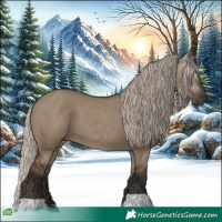 Horse Color:Gray Silver Grullo 