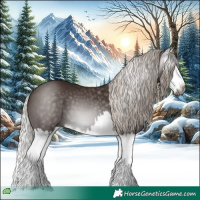 Horse Color:Gray Silver Black Splash 
