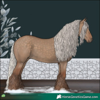 Horse Color:Silver Grullo