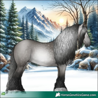 Horse Color:Gray Grullo