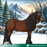 Horse Color:Gray Bay