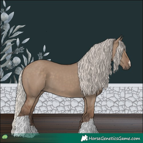 Horse Color:Silver Grullo 