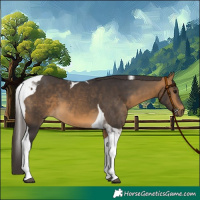 Horse Color:Buckskin Tobiano 