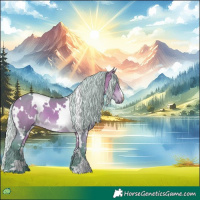 Horse Color:Watercolor White Spotted Silver Bay 