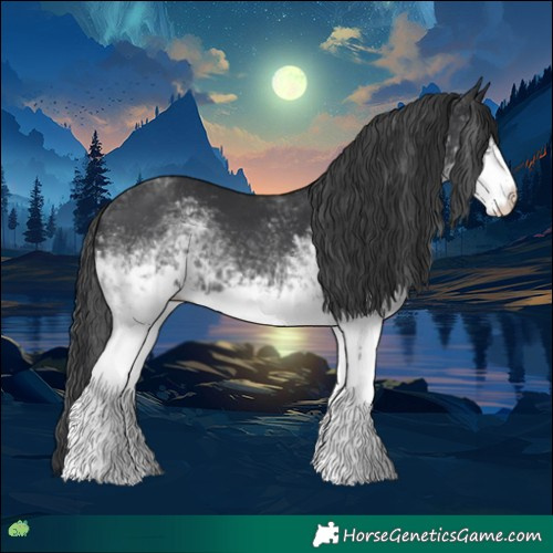 Horse Color:White Spotted Black