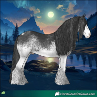 Horse Color:White Spotted Black Tobiano 