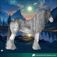 Horse Color:White Spotted Black Tobiano 