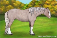 Horse Color:Watercolor Silver Buckskin Roan Splash 