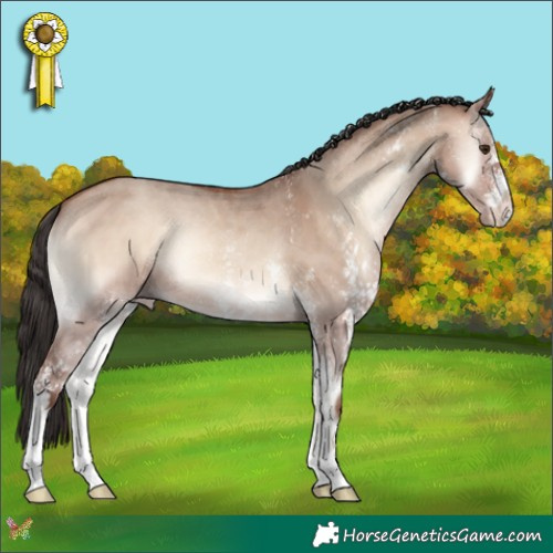 Horse Color:White Spotted Sable Champagne Onyx Rabicano 