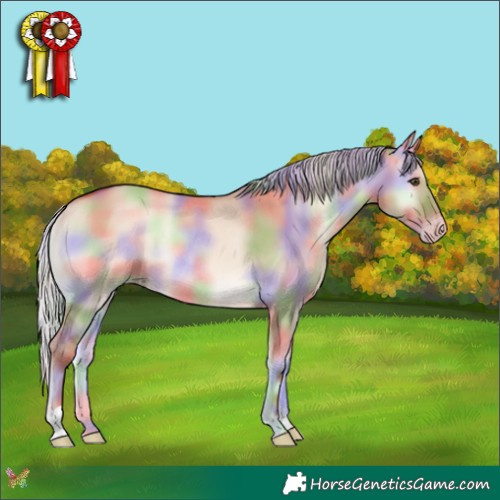 Horse Color:Nacre Silver Amber Champagne Onyx Rabicano 