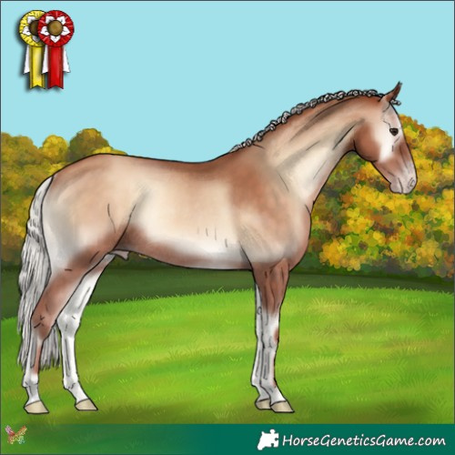 Horse Color:Silver Sable Champagne Onyx Rabicano 
