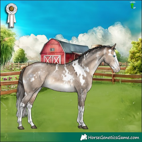 Horse Color:White Spotted Bay Dun Mushroom Sabino Splash 