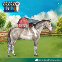 Horse Color:White Spotted Bay Dun Mushroom Sabino Splash 