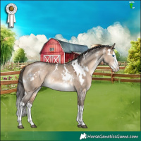 Horse Color:White Spotted Bay Dun Mushroom Sabino Splash 