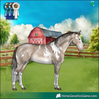 Horse Color:White Spotted Bay Dun Mushroom Sabino Splash 