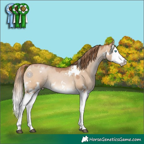 Horse Color:White Spotted Brown Pearl Dun Splash 