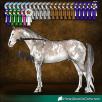 Horse Color:White Spotted Bay Dun Mushroom Sabino Splash 