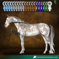 Horse Color:White Spotted Bay Dun Mushroom Sabino Splash 