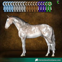 Horse Color:White Spotted Bay Dun Mushroom Sabino Splash