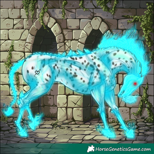 Horse Color:Thunderstruck Liver Chestnut Splash Leopard