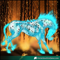 Horse Color:Thunderstruck Liver Chestnut Splash Appaloosa 