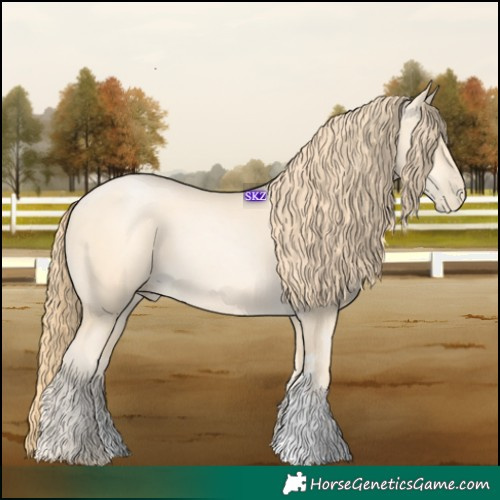 Horse Color:Buckskin Pearl Sabino 