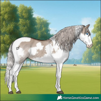 Horse Color:Silver Grullo Splash Tobiano 