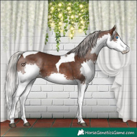 Horse Color:Silver Brown Splash Tobiano