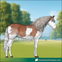 Horse Color:Silver Black Splash Tobiano 