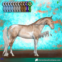Horse Color:Silver Brown Pearl Dun Tobiano Rabicano Brindle 